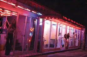 주간현대] 정부와 여야가 성매매특별법 폐기해야 하는 이유