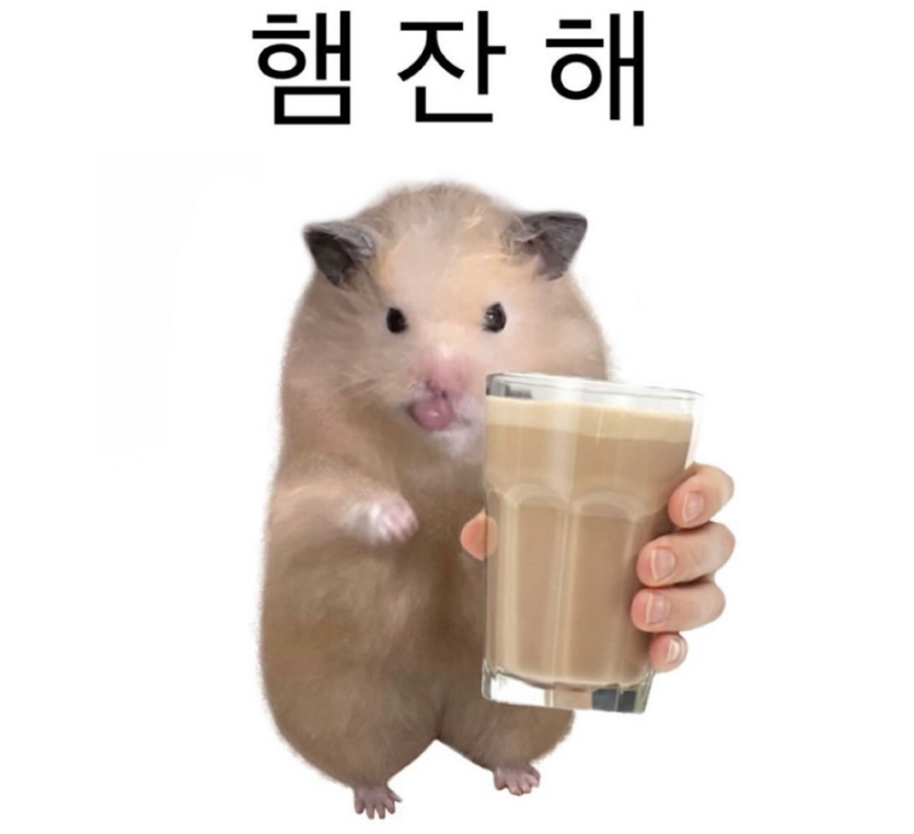 회원 프로필