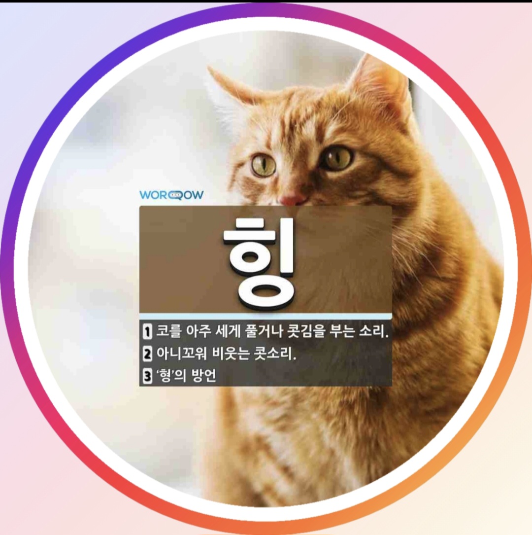 회원 프로필